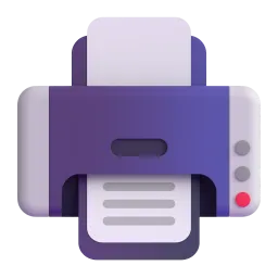 🖨️